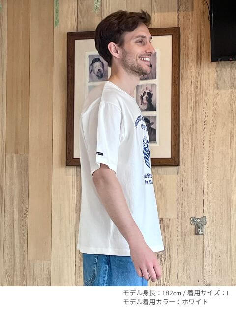 california market  T  ブランドのドッグデプト/DOG DEPT