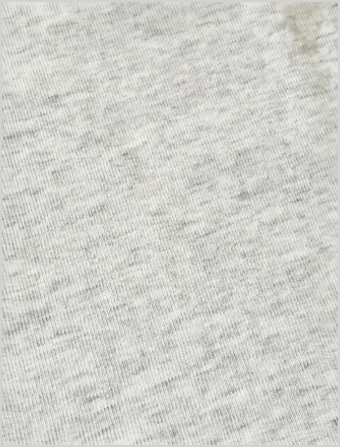 WANWAN COLLEGE 天竺クルー   ブランドのドッグデプト/DOG DEPT