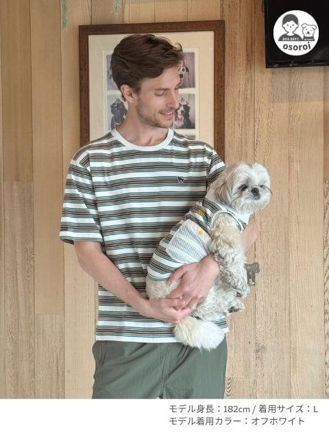 ナチュラルヴィンテージボーダー Tシャツ ブランドのドッグデプト/DOG DEPT