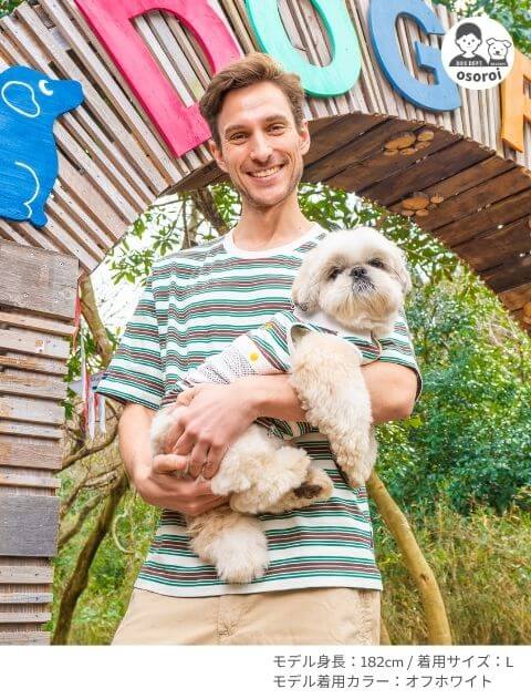 ナチュラルヴィンテージボーダー Tシャツ ブランドのドッグデプト/DOG DEPT