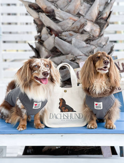 ブランドのドッグデプト/DOG DEPT 犬種ミニショルダーバッグ