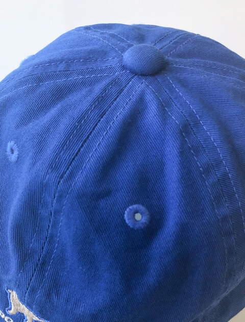 ブランドのドッグデプト/DOG DEPT ワンポイントツイルキャップ