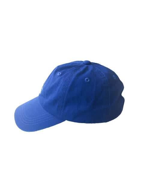 ブランドのドッグデプト/DOG DEPT ワンポイントツイルキャップ