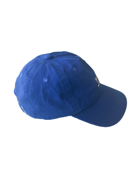 ブランドのドッグデプト/DOG DEPT ワンポイントツイルキャップ