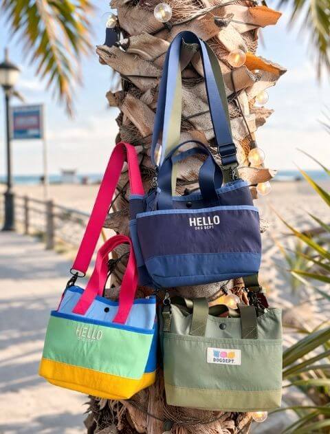 【GOODS】マルチカラー　コンパクトお散歩バッグ