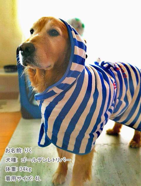 Dog Wear バスローブ Dog Dept ドッグデプト オンラインショッピング