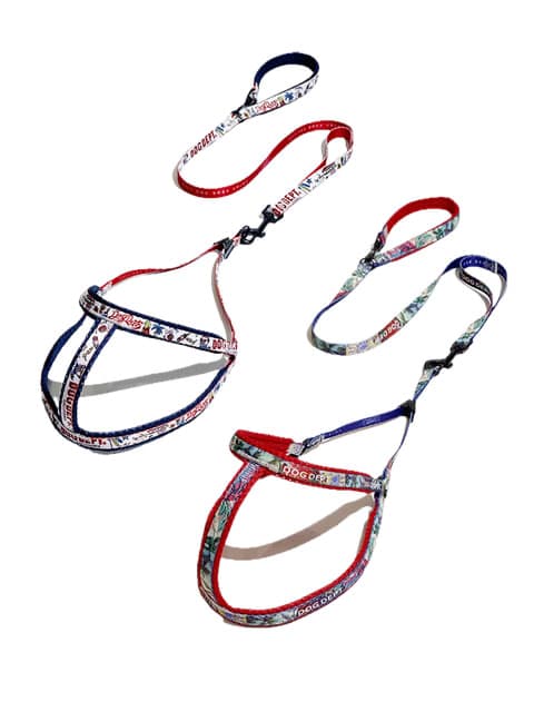 《期間限定アウトレット》【DOG GOODS】転写プリント　リード＆ライトハーネスセット