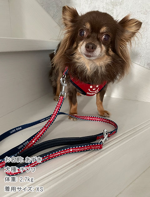 メッセージ　リード＆ソフトハーネスセット ブランドのドッグデプト/DOG DEPT