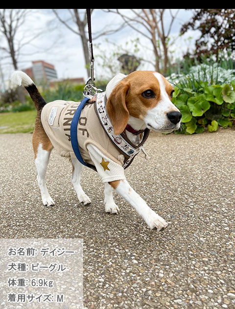 犬服 ドッグウェア レイヤー スウェット Dog Dept ドッグデプト Online Shop