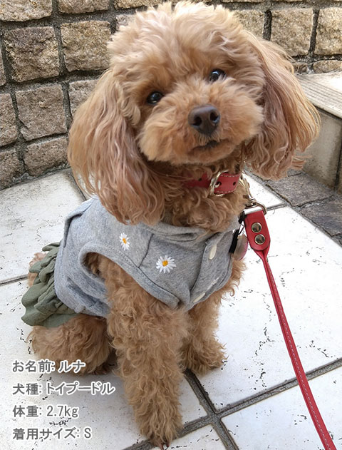犬服 ドッグウェア マーガレットスウェットスカート Dog Dept ドッグデプト Online Shop