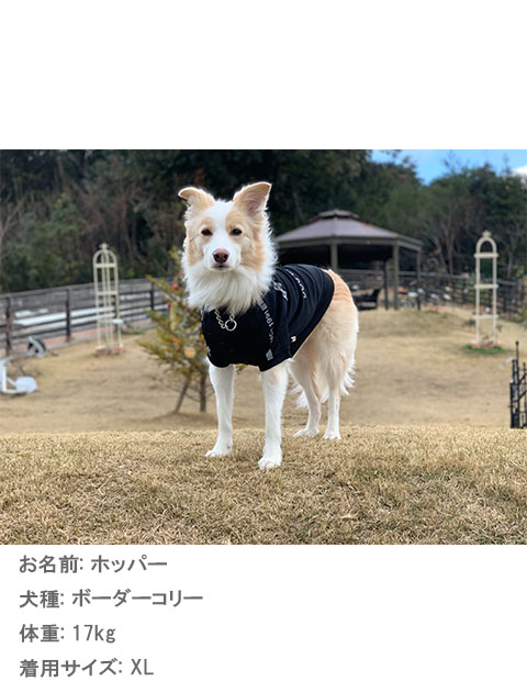 犬服 ドッグウェア ダンボールニット ラグランジャージ Dog Dept ドッグデプト Online Shop