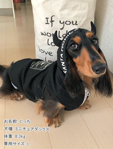 犬服 ドッグウェア 撥水ストレッチ パーカー Dog Dept ドッグデプト Online Shop