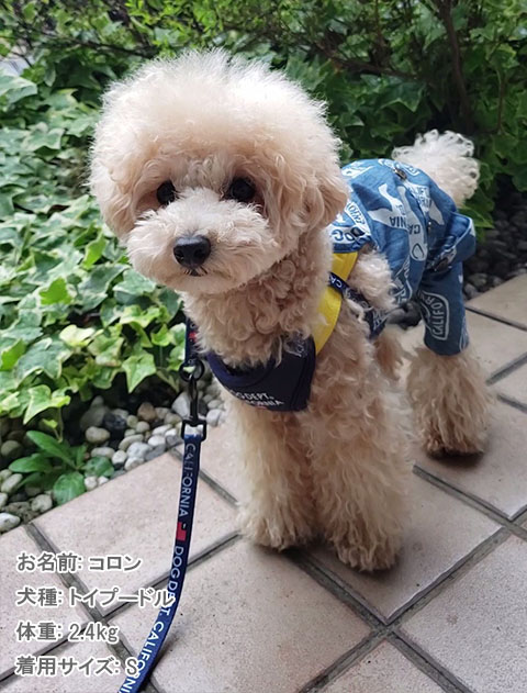 犬服 ドッグウェア デニム総柄ロゴ サロペット Dog Dept ドッグデプト Online Shop