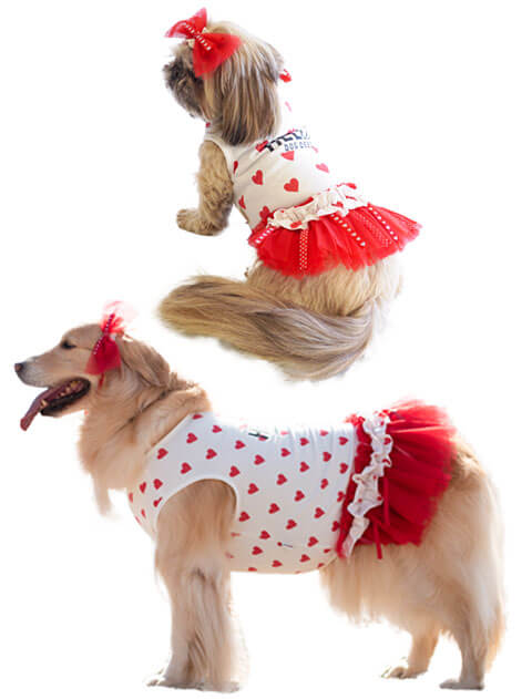 犬服シャツ ワンピース Dog Dept ドッグデプト