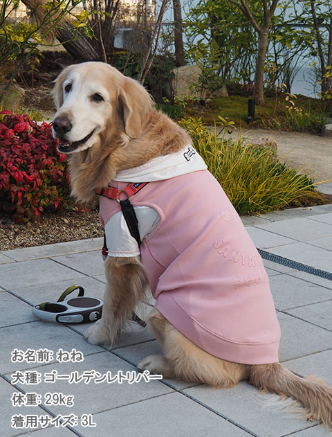 犬服 ドッグウェア ダンボールニット レイヤー Dog Dept ドッグデプト Online Shop