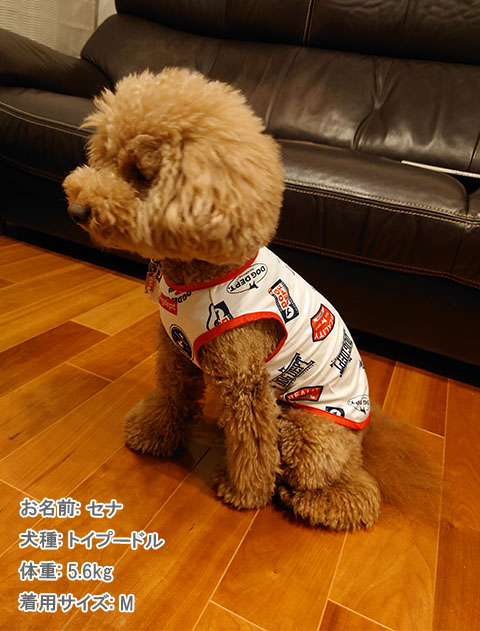 犬服 ドッグウェア ラッシュガード ノースリーブ Dog Dept ドッグデプト Online Shop