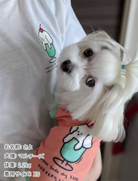 犬服 ドッグウェア クリームソーダー メッシュノースリーブ Dog Dept ドッグデプト Online Shop