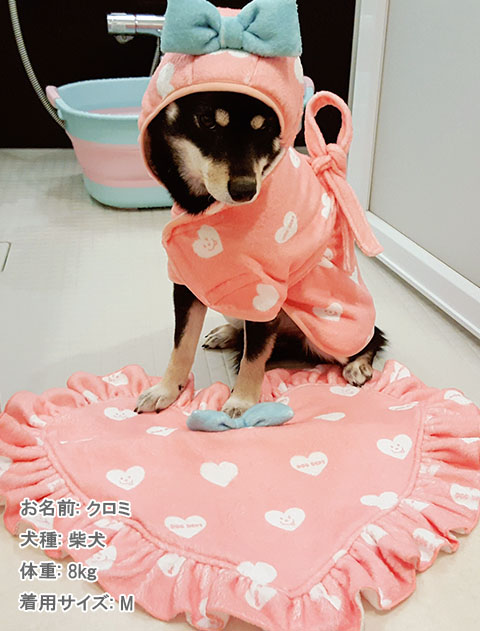 【訳あり】カフェマット レースサークルカフェマット - ワンコ服KALINA