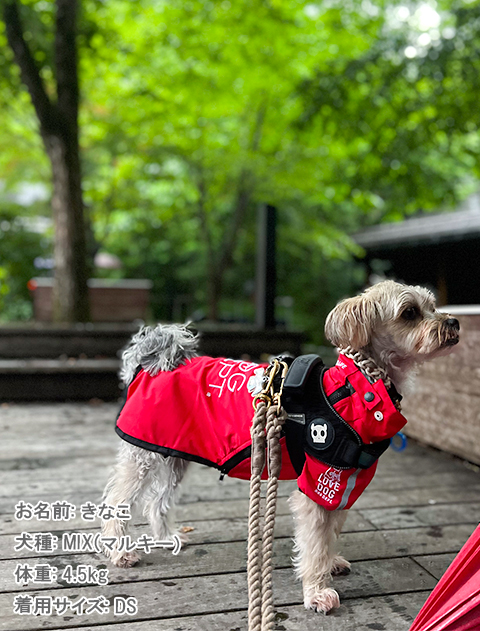 撥水コート犬服ブランドのドッグデプト/DOG DEPT