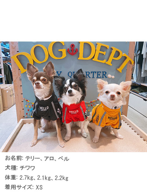 撥水コート犬服ブランドのドッグデプト/DOG DEPT