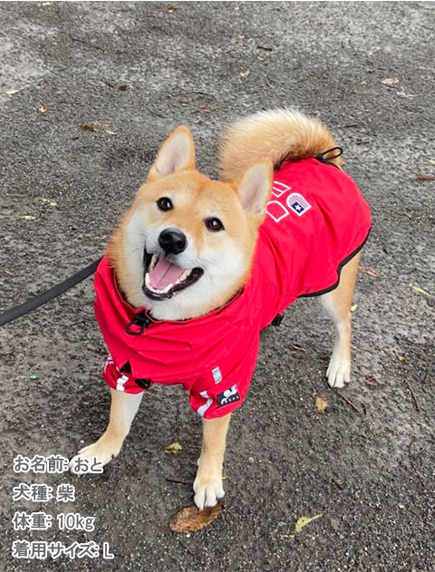 撥水コート犬服ブランドのドッグデプト/DOG DEPT