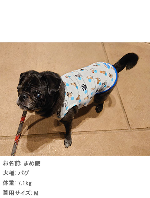 犬服 ドッグウェア ストレッチ メッシュノースリーブ Dog Dept ドッグデプト Online Shop