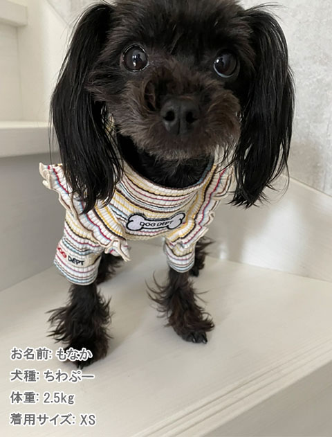 犬服 SS わんこの普段着レトロデイジー
