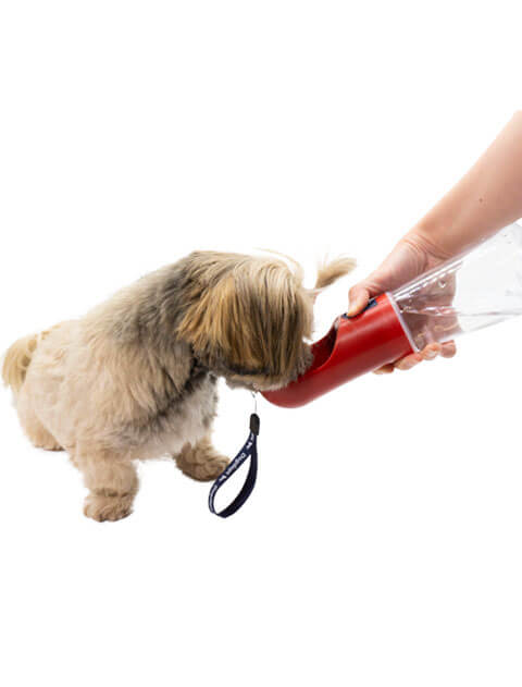 USEFUL ウォーターボトル ブランドのドッグデプト/DOG DEPT