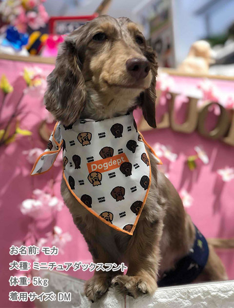 ブランドのドッグデプト/DOG DEPT MY DOG バンダナ