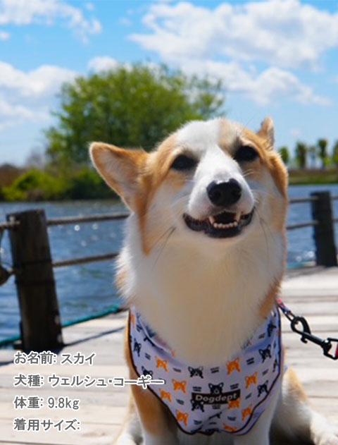 ブランドのドッグデプト/DOG DEPT MY DOG バンダナ