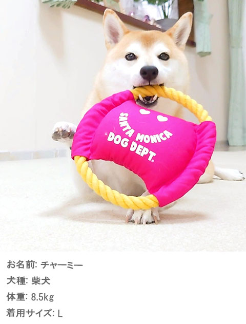 ロープフリスビー（S） ブランドのドッグデプト/DOG DEPT
