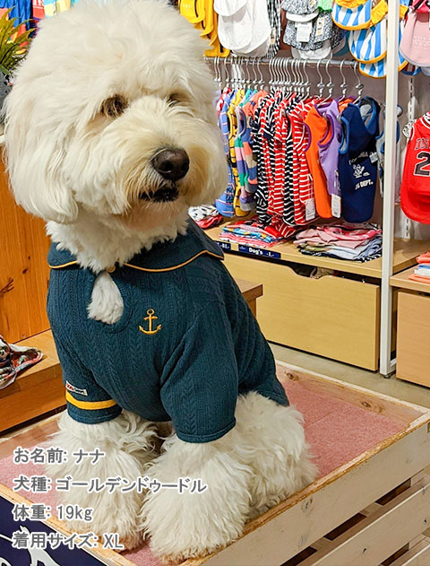 ケーブルセーラー犬服ブランドのドッグデプト/DOG DEPT