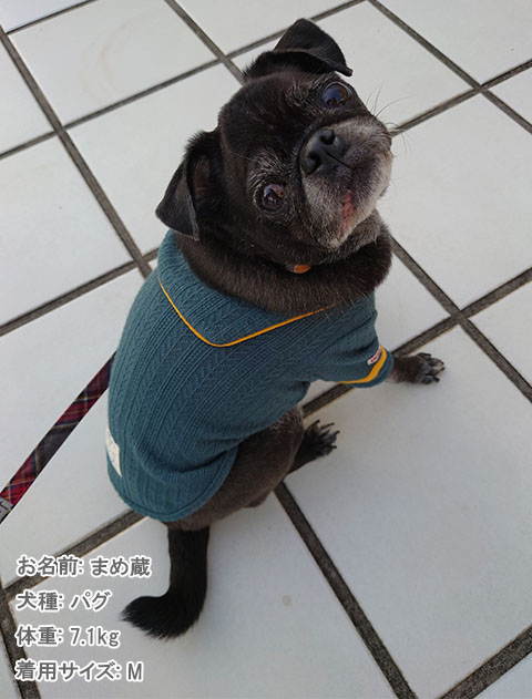 ケーブルセーラー犬服ブランドのドッグデプト/DOG DEPT