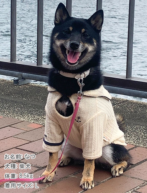ケーブルセーラー犬服ブランドのドッグデプト/DOG DEPT