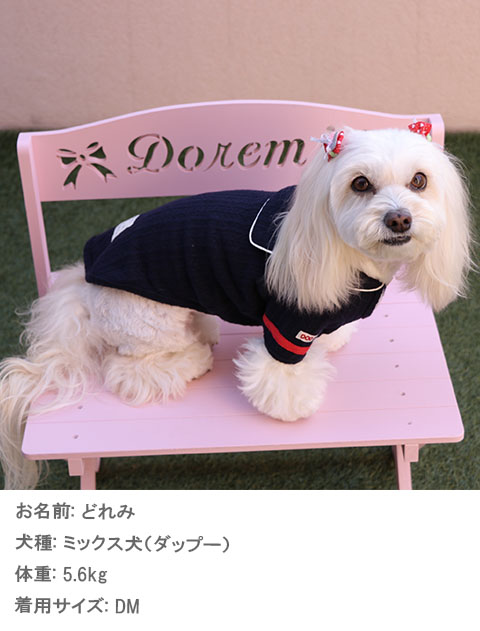 ケーブルセーラー犬服ブランドのドッグデプト/DOG DEPT