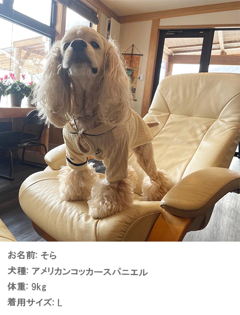 ケーブルセーラー犬服ブランドのドッグデプト/DOG DEPT