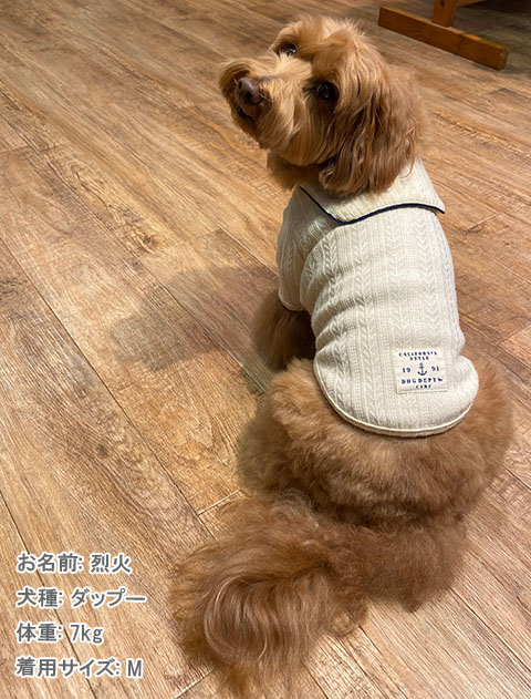 ケーブルセーラー犬服ブランドのドッグデプト/DOG DEPT