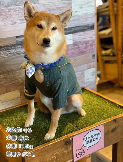 ケーブルセーラー犬服ブランドのドッグデプト/DOG DEPT