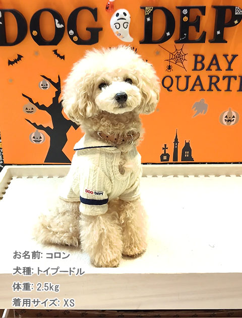 ケーブルセーラー犬服ブランドのドッグデプト/DOG DEPT