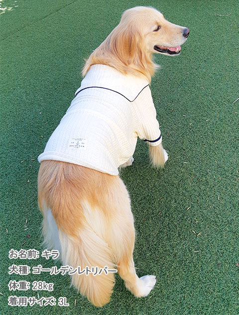 ケーブルセーラー犬服ブランドのドッグデプト/DOG DEPT