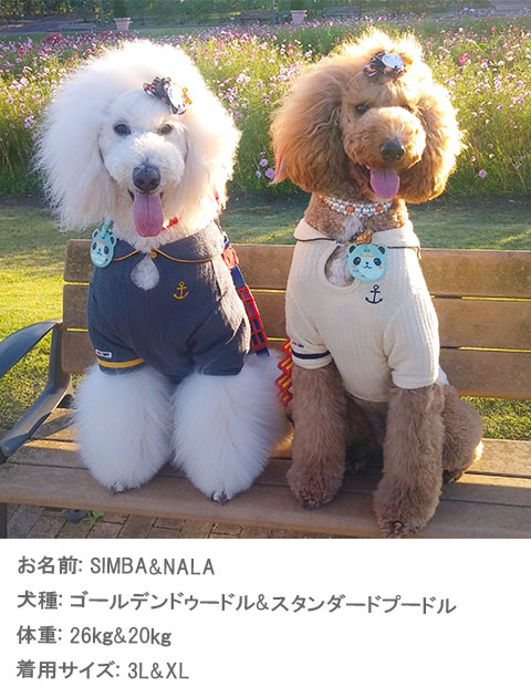 ケーブルセーラー犬服ブランドのドッグデプト/DOG DEPT