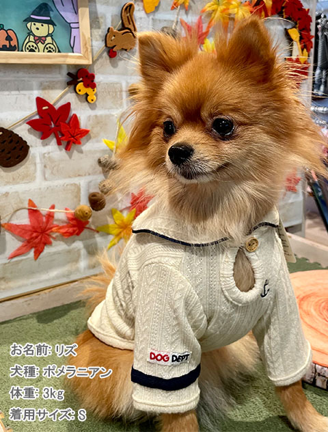 ケーブルセーラー犬服ブランドのドッグデプト/DOG DEPT