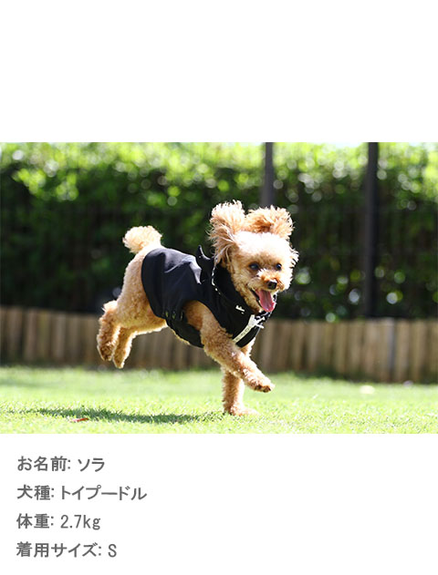 犬服 ドッグウェア ダンボールニットロゴライン ボタンパーカー Dog Dept ドッグデプト Online Shop