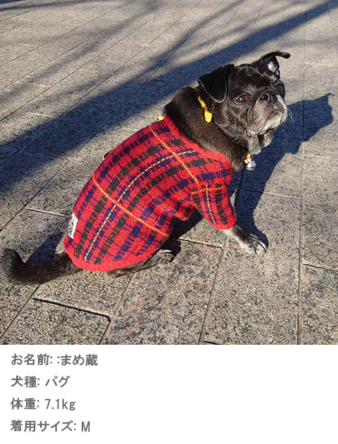 犬服 ドッグウェア タータンチェック ニット Dog Dept ドッグデプト Online Shop