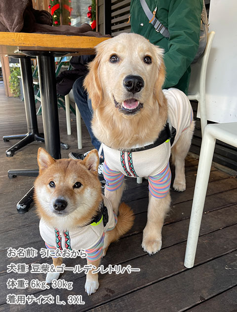 犬服 ドッグウェア ストレッチフリース レイヤースタンドジップ Dog Dept ドッグデプト Online Shop