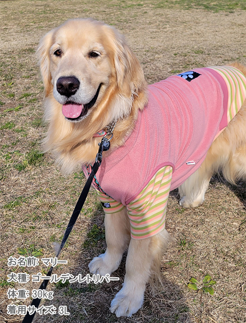 犬服 ドッグウェア ストレッチフリース レイヤースタンドジップ Dog Dept ドッグデプト Online Shop