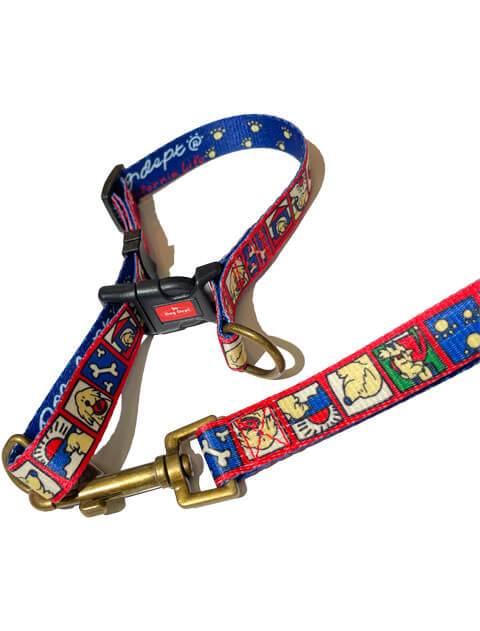 イラストリード＆カラーセット ブランドのドッグデプト/DOG DEPT