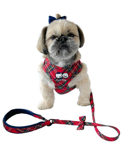 犬用リード カラー ハーネスの商品一覧 Dogdept公式 犬用リード カラー ハーネスの商品一覧 Dogdept公式