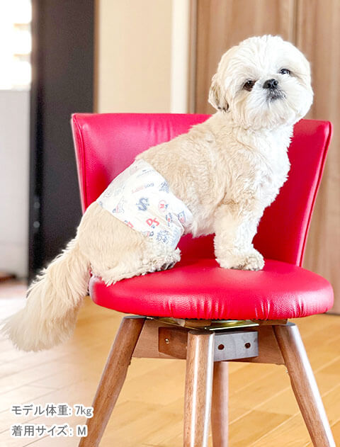  WAN PPY  マナーオムツ -男の子用-  ブランドのドッグデプト/DOG DEPT