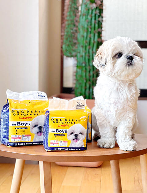 DOG GOODS】 WAN PPY マナーオムツ -男の子用-